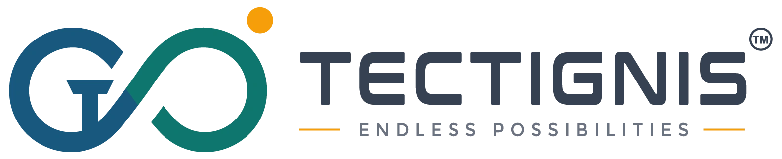 Tectignis-IT-solution-logo